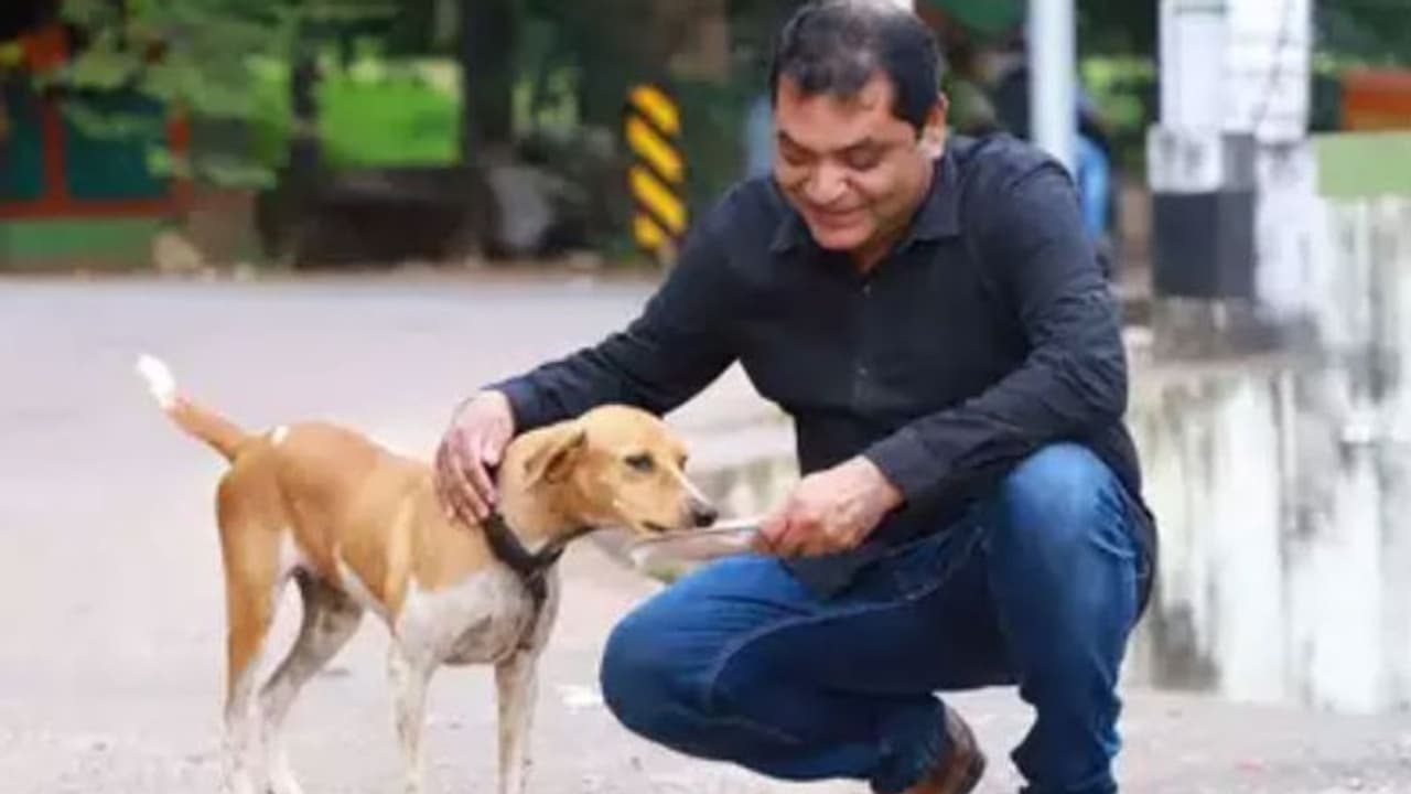 ഒറ്റയ്ക്കിരിക്കുന്ന പട്ടിക്ക് ഓണ്‍ലൈനില്‍ ഭക്ഷണം; എങ്ങനെയുണ്ട്?