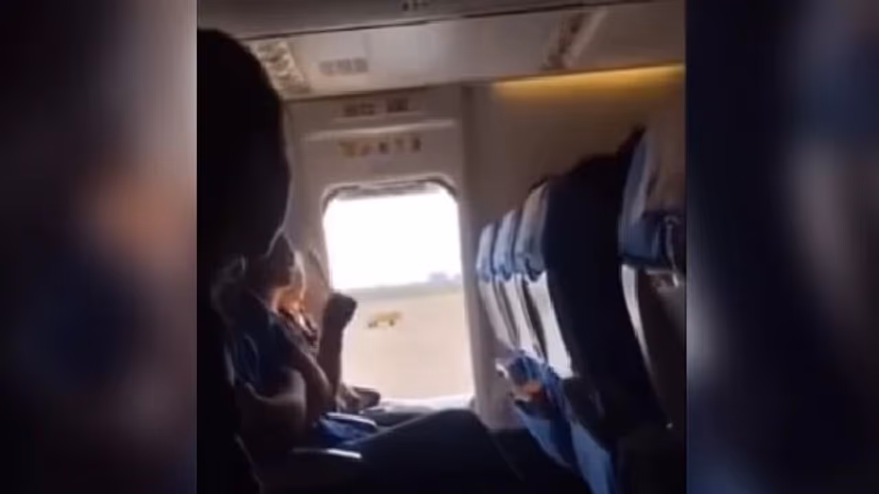 ಗಾಳಿ ಬರಲೆಂದು ವಿಮಾನದ ತುರ್ತು ಬಾಗಿಲನ್ನೇ ತೆರೆದಳು! ಗಾಳಿ ಬರಲೆಂದು ವಿಮಾನದ ತುರ್ತು ಬಾಗಿಲನ್ನೇ ತೆರೆದಳು!