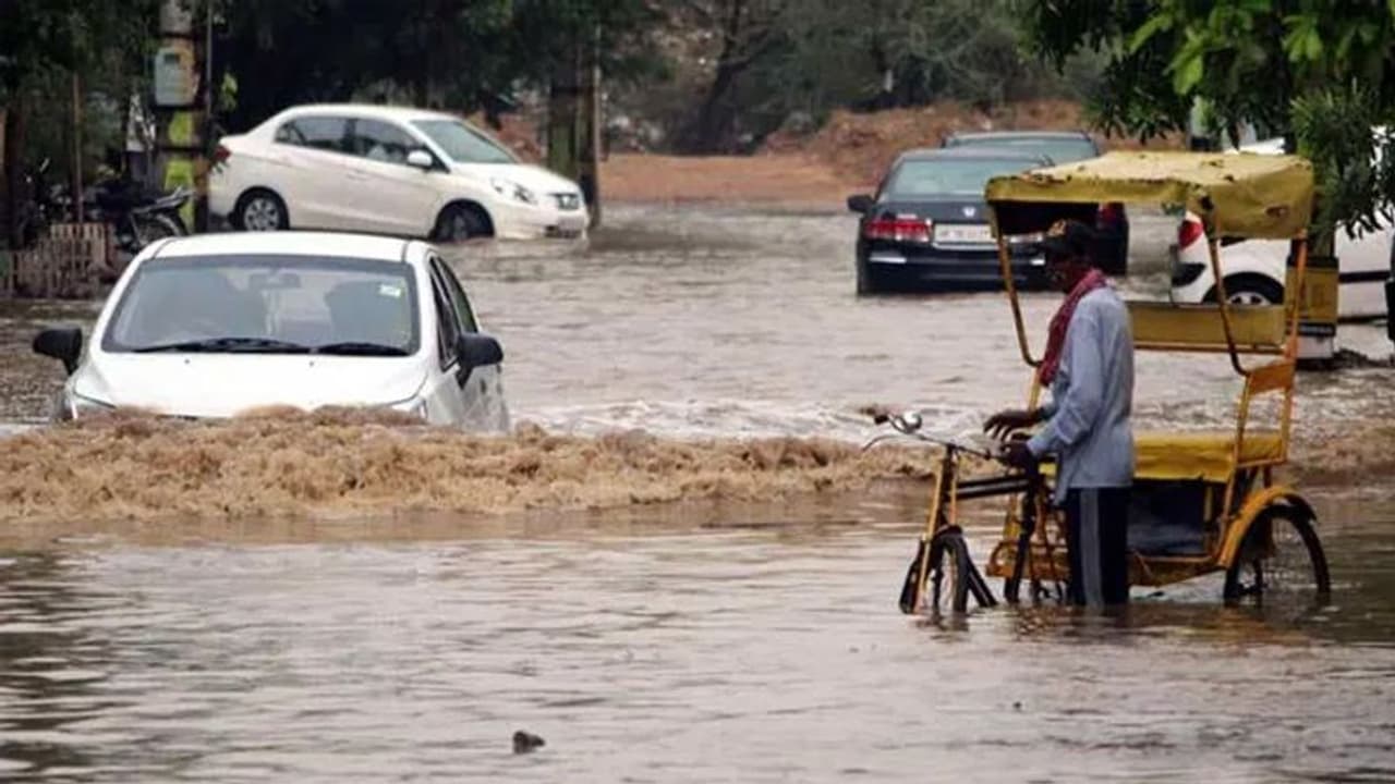 UP में भारी बारिश से 13 लोगों की मौत, अगले 48 घंटों के लिए अलर्ट जारी स्कूल कॉलेज बंद UP में भारी बारिश से 13 लोगों की मौत, अगले 48 घंटों के लिए अलर्ट जारी स्कूल कॉलेज बंद