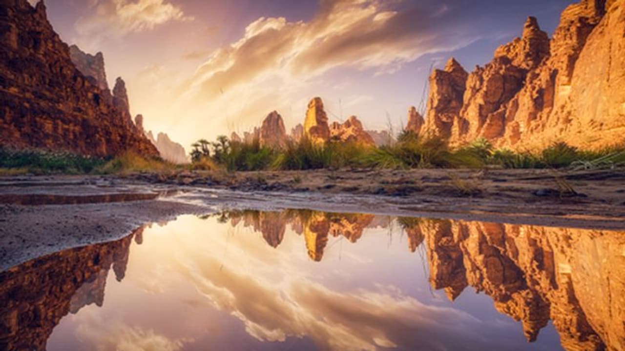 World Tourism Day 2019: Saudi Arabia to announce visa schemes, abolishes abaya rule World Tourism Day 2019: Saudi Arabia to announce visa schemes, abolishes abaya rule