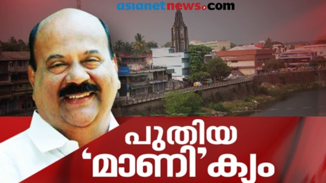 പാലായ്ക്ക് ഇനി പുതിയ നായകന് : മാണി സി കാപ്പന് 2943 വോട്ടുകളുടെ ചരിത്രജയം പാലായ്ക്ക് ഇനി പുതിയ നായകന് : മാണി സി കാപ്പന് 2943 വോട്ടുകളുടെ ചരിത്രജയം