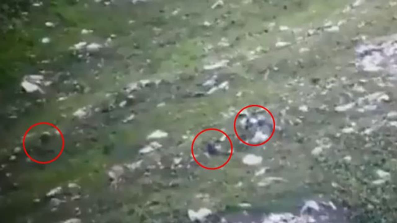 భారత జవాన్ల దెబ్బకు తోక ముడిచిన ఉగ్రవాదులు: వీడియో వైరల్ భారత జవాన్ల దెబ్బకు తోక ముడిచిన ఉగ్రవాదులు: వీడియో వైరల్