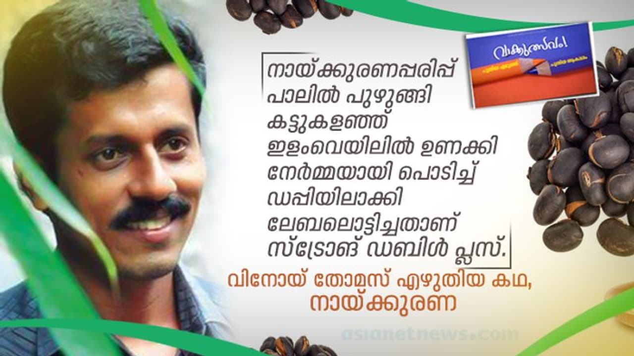 വിനോയ് തോമസ് എഴുതിയ കഥ, നായ്ക്കുരണ