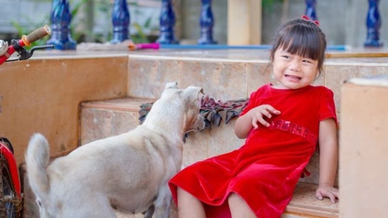 പല്ലി, പാറ്റ മുതല് വളര്ത്തുനായയെ വരെ പേടിയാണോ? കാരണമിതാണ്... പല്ലി, പാറ്റ മുതല് വളര്ത്തുനായയെ വരെ പേടിയാണോ? കാരണമിതാണ്...