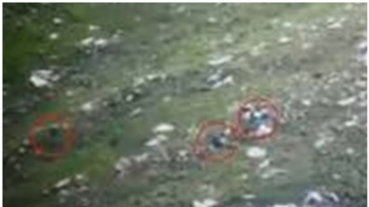 പാക് ഭീകരരുടെ നുഴഞ്ഞുകയറ്റ ശ്രമം പരാജയപ്പെടുത്തി ഇന്ത്യൻ സൈന്യം; വീഡിയോ പുറത്ത് പാക് ഭീകരരുടെ നുഴഞ്ഞുകയറ്റ ശ്രമം പരാജയപ്പെടുത്തി ഇന്ത്യൻ സൈന്യം; വീഡിയോ പുറത്ത്