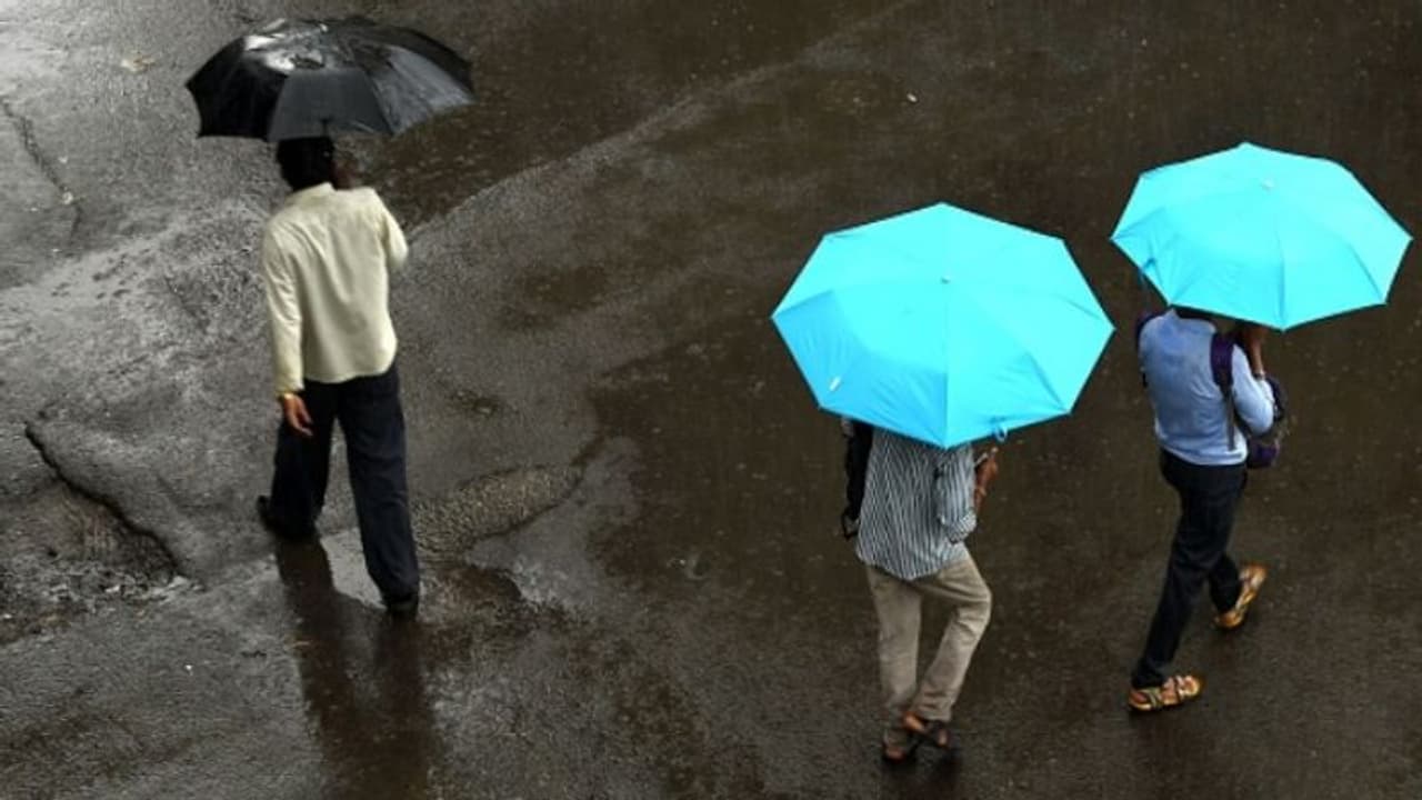 ಹಾವೇರಿ ಜಿಲ್ಲೆಯಲ್ಲಿ ಭಾರಿ ಮಳೆ: ಆತಂಕದಲ್ಲಿ ರೈತರು ಹಾವೇರಿ ಜಿಲ್ಲೆಯಲ್ಲಿ ಭಾರಿ ಮಳೆ: ಆತಂಕದಲ್ಲಿ ರೈತರು