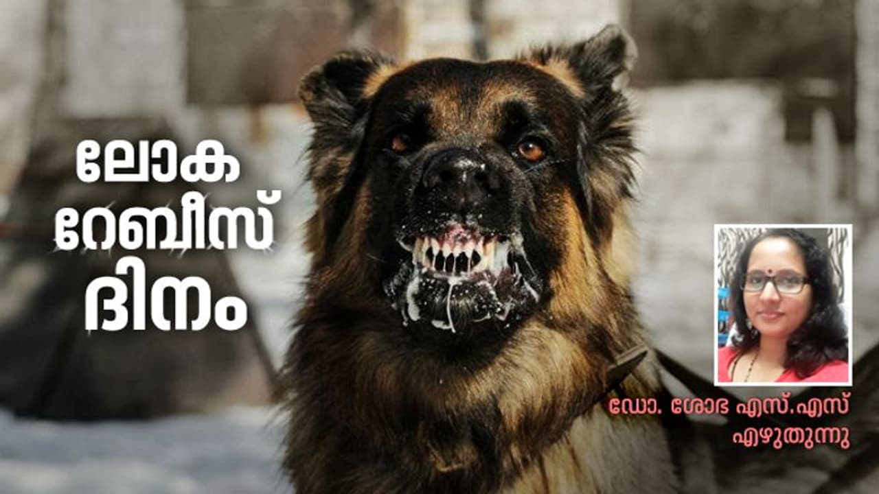 ആ മരണം ഭയാനകം, അതുകൊണ്ടുതന്നെ പേവിഷബാധ വരാതിരിക്കാൻ കരുതൽ അനിവാര്യം ആ മരണം ഭയാനകം, അതുകൊണ്ടുതന്നെ പേവിഷബാധ വരാതിരിക്കാൻ കരുതൽ അനിവാര്യം