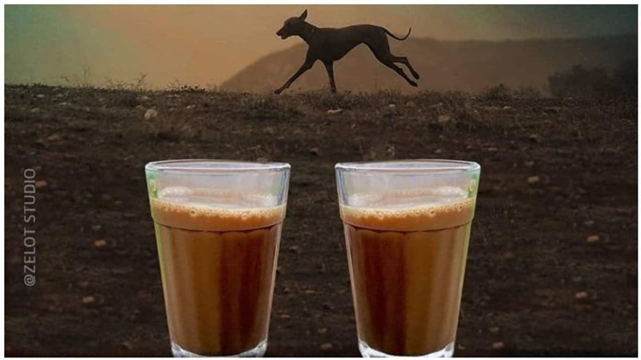 ’நாங்க நாயாதான் இருக்கனும்னு நீங்க எதிர்பாக்குற வரைக்கும், இங்க எதுவுமே மாறாது’ ’நாங்க நாயாதான் இருக்கனும்னு நீங்க எதிர்பாக்குற வரைக்கும், இங்க எதுவுமே மாறாது’