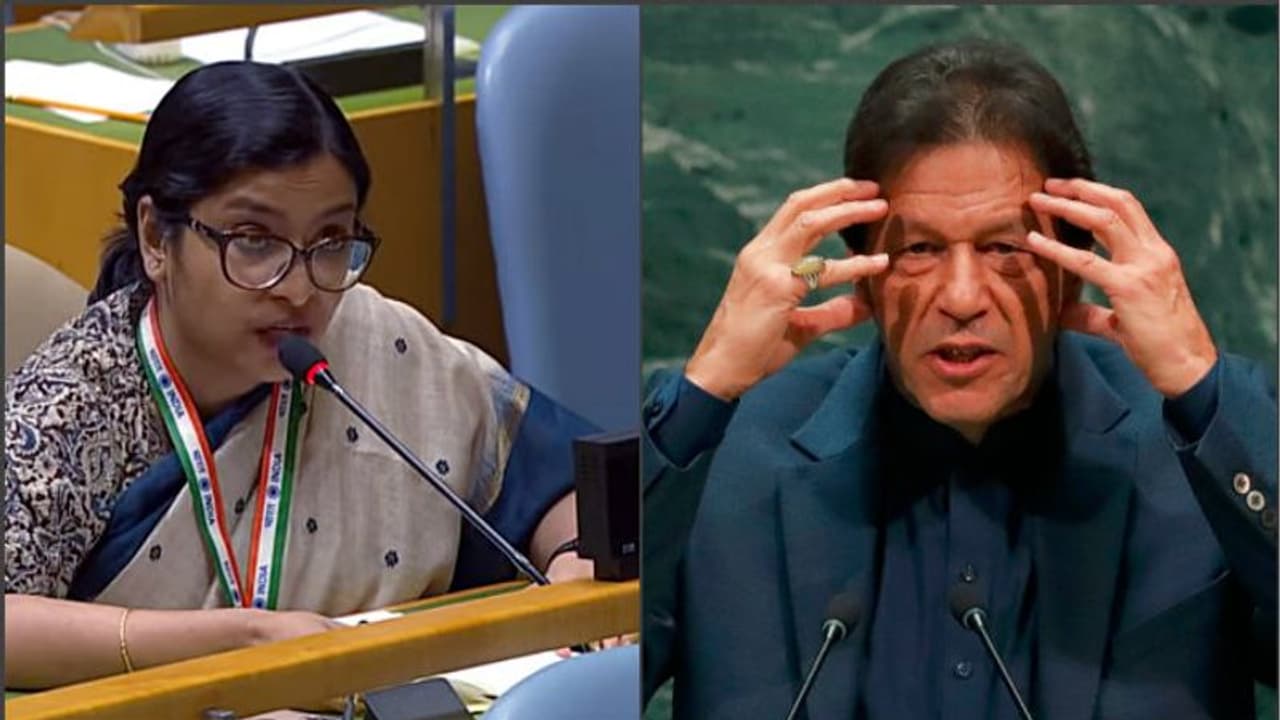 ಪಾಕಿಸ್ತಾನದ ಮರ್ಯಾದೆ ಅಂತರಾಷ್ಟ್ರೀಯ ಮಟ್ಟದಲ್ಲಿ ಹರಾಜು: ಹೀಗಿತ್ತು ವಿದಿಶಾ ಚಾಟಿಯೇಟು!