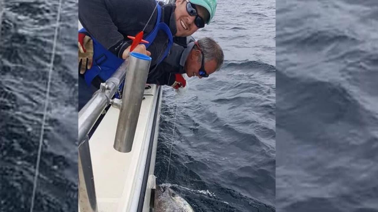 23 കോടി വിലയുള്ള മത്സ്യം ചൂണ്ടയില് കുടുങ്ങി; പക്ഷെ അവര് അതിനെ കടലിലേക്ക് തിരിച്ചുവിട്ടു.! 23 കോടി വിലയുള്ള മത്സ്യം ചൂണ്ടയില് കുടുങ്ങി; പക്ഷെ അവര് അതിനെ കടലിലേക്ക് തിരിച്ചുവിട്ടു.!