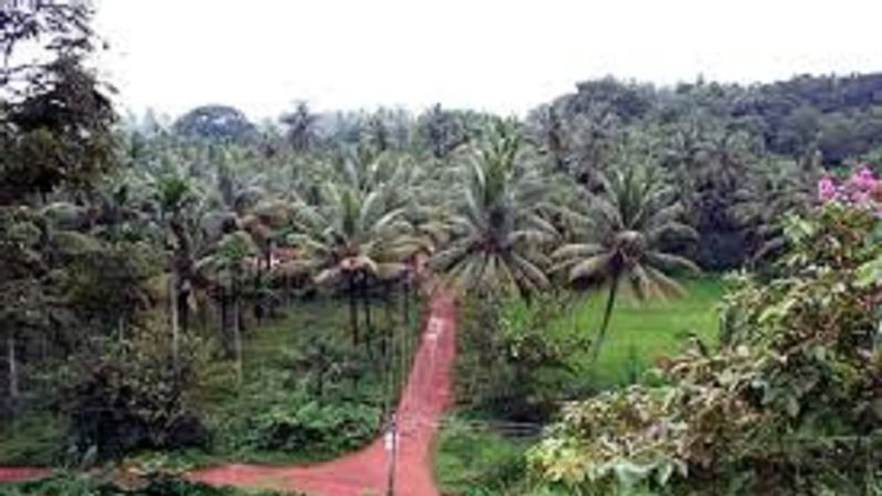 ಮಂಗಳೂರು: ಕಲ್ಲಮುಂಡ್ಕೂರು ಗ್ರಾಮಕ್ಕೆ ಗಾಂಧಿ ಗ್ರಾಮ ಪುರಸ್ಕಾರ ಮಂಗಳೂರು: ಕಲ್ಲಮುಂಡ್ಕೂರು ಗ್ರಾಮಕ್ಕೆ ಗಾಂಧಿ ಗ್ರಾಮ ಪುರಸ್ಕಾರ