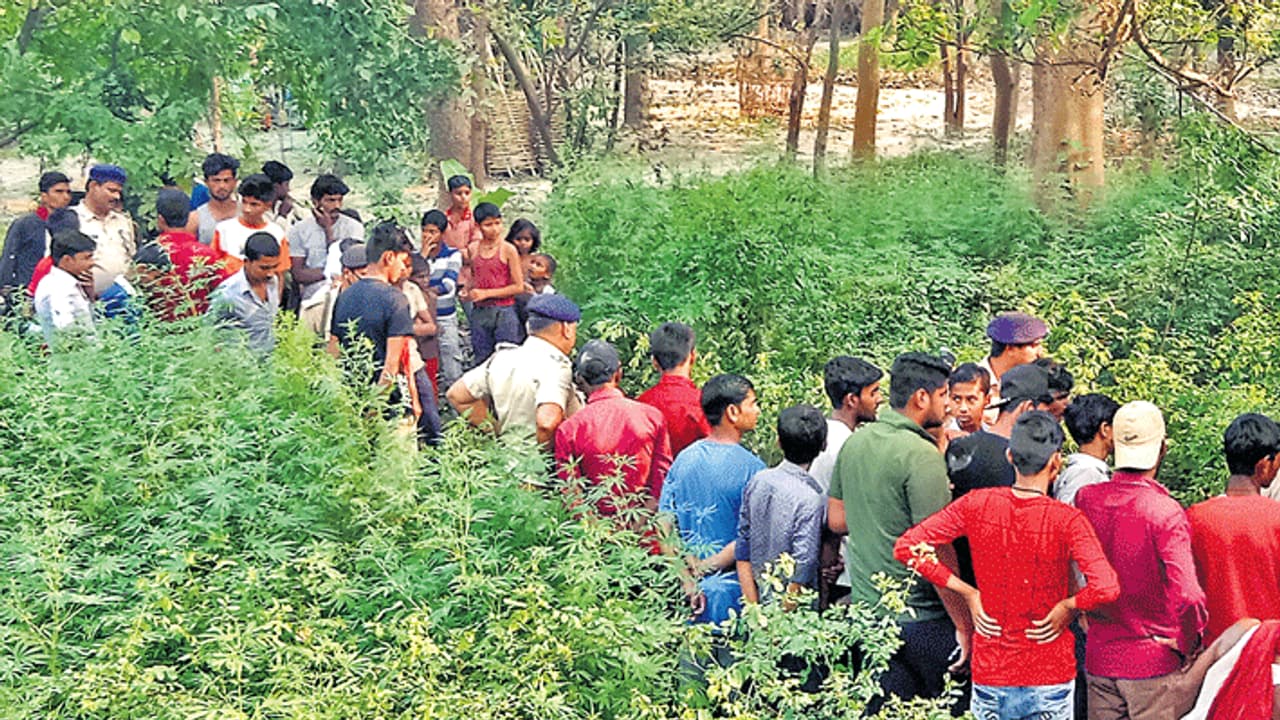 अचानक दुबली सांवली लगने लगी तीसरी पत्नी, पति को इमोशनल देख मरने को हुई तैयार अचानक दुबली सांवली लगने लगी तीसरी पत्नी, पति को इमोशनल देख मरने को हुई तैयार