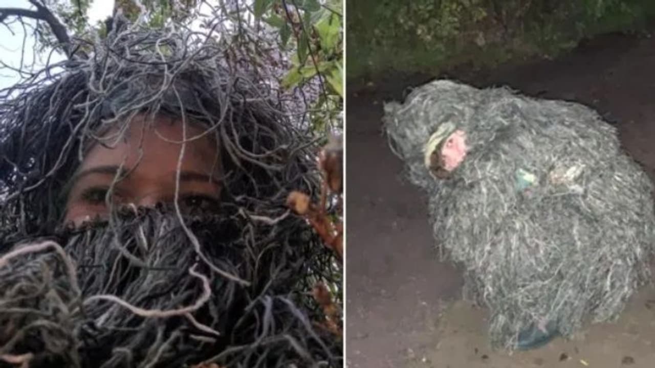 സഹോദരിയെ കാമുകന് വിവാഹാഭ്യര്ത്ഥ ചെയ്യുന്ന ദൃശ്യം പകര്ത്താനായി യുവതി എത്തിയത് വിചിത്ര വേഷത്തില് ! സഹോദരിയെ കാമുകന് വിവാഹാഭ്യര്ത്ഥ ചെയ്യുന്ന ദൃശ്യം പകര്ത്താനായി യുവതി എത്തിയത് വിചിത്ര വേഷത്തില് !