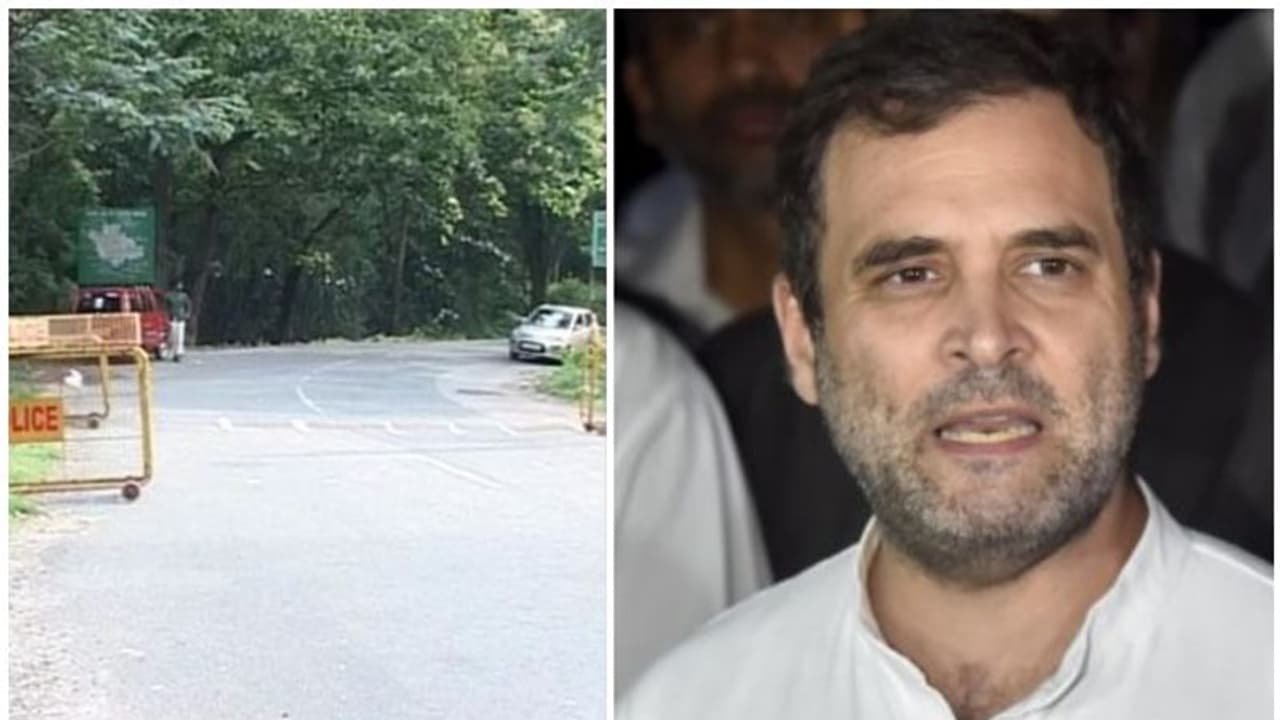 രാഹുലിന്റെ വയനാട് സന്ദര്ശന തിയതി മാറ്റി, വ്യാഴാഴ്ച എത്തും: രാത്രി യാത്രാനിരോധന സമരത്തിന് പിന്തുണ രാഹുലിന്റെ വയനാട് സന്ദര്ശന തിയതി മാറ്റി, വ്യാഴാഴ്ച എത്തും: രാത്രി യാത്രാനിരോധന സമരത്തിന് പിന്തുണ