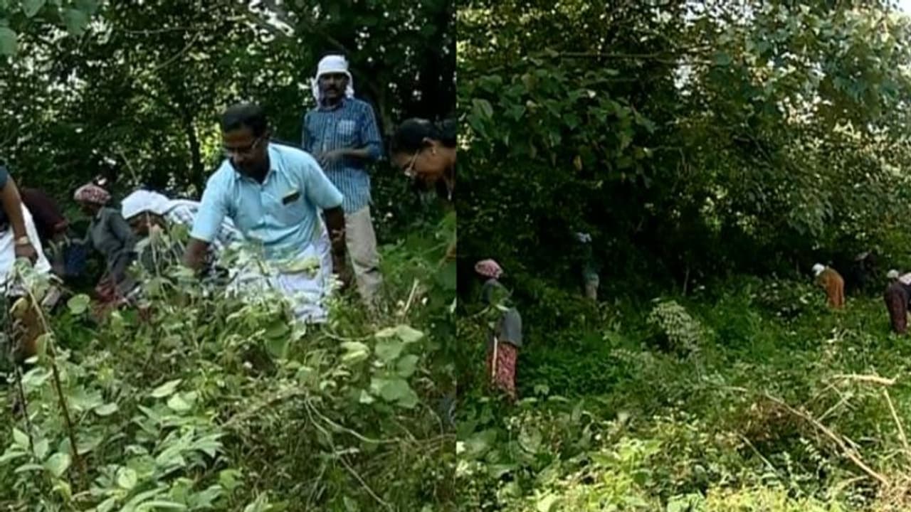 മലങ്കര അണക്കെട്ട് പണിയാൻ എത്തിയവർക്ക് പുനരധിവാസം; മൂന്നു സെന്റ് സ്ഥലം വീതം നൽകും മലങ്കര അണക്കെട്ട് പണിയാൻ എത്തിയവർക്ക് പുനരധിവാസം; മൂന്നു സെന്റ് സ്ഥലം വീതം നൽകും