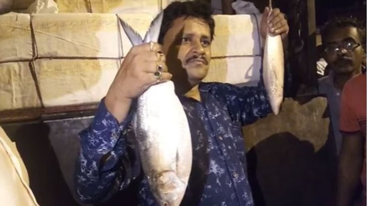 পুজোর আগে সম্পর্কের দূত, ৭ বছর পর বাংলাদেশের ইলিশ পেল ভারত পুজোর আগে সম্পর্কের দূত, ৭ বছর পর বাংলাদেশের ইলিশ পেল ভারত