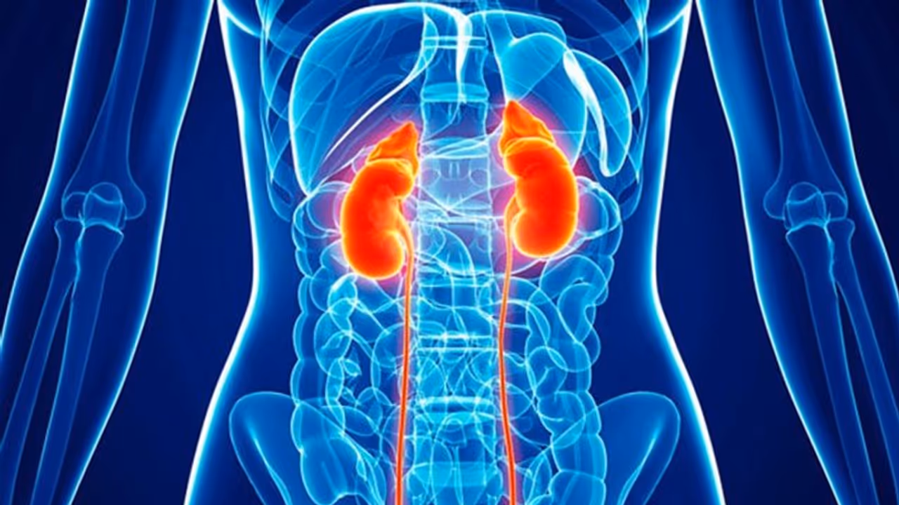 जानें क्या हैं किडनी फेल होने के लक्षण, रहें सतर्क