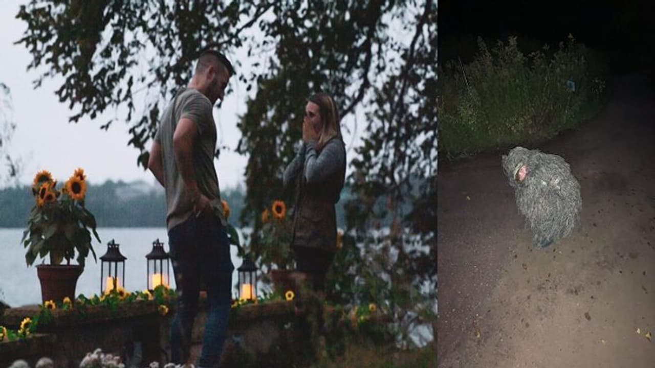 ಅಕ್ಕನ ಲವ್ ಪ್ರಪೋಸಲ್ ಕ್ಷಣ ಸೆರೆಹಿಡಿಯಲು ಈ ತಂಗಿ ಮಾಡಿದ ಕೆಲಸ..ಅಬ್ಬಬ್ಬಾ! ಅಕ್ಕನ ಲವ್ ಪ್ರಪೋಸಲ್ ಕ್ಷಣ ಸೆರೆಹಿಡಿಯಲು ಈ ತಂಗಿ ಮಾಡಿದ ಕೆಲಸ..ಅಬ್ಬಬ್ಬಾ!