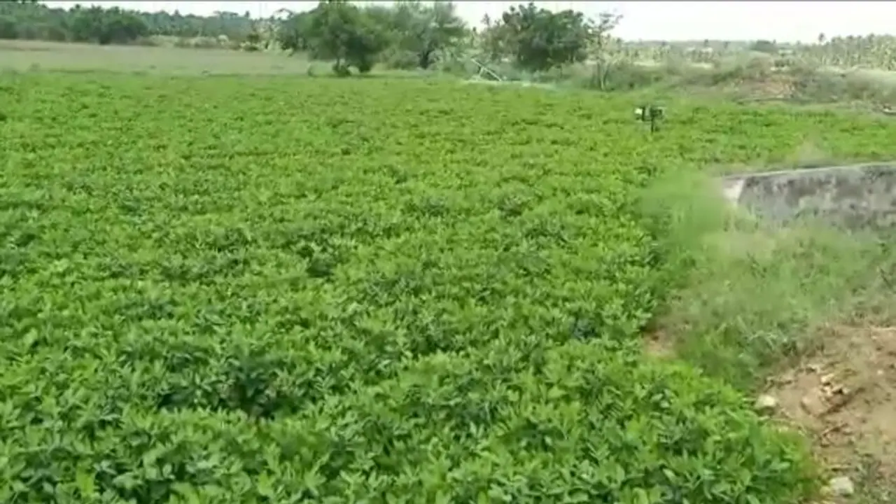 செல்போனில் ஒரு டச் போதும்..! பயிர்களுக்கு தேவையான தண்ணீர் பாய்ந்து வரும்..! விவசாயிகளுக்கு உதவ புதிய நடைமுறை அறிமுகம்..!