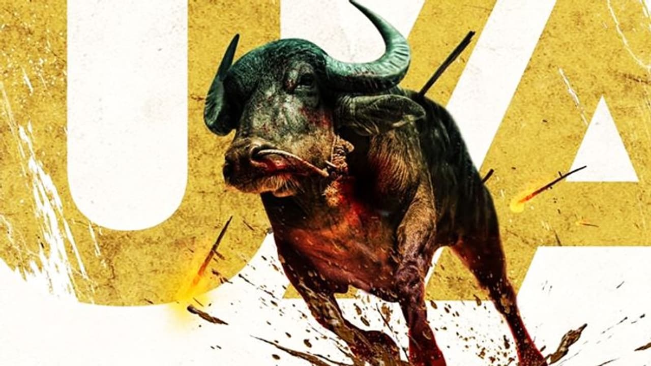 ജല്ലിക്കട്ടിന് 'യു/എ' സര്ട്ടിഫിക്കറ്റ്, ദൈര്ഘ്യം ഒന്നര മണിക്കൂര് ജല്ലിക്കട്ടിന് 'യു/എ' സര്ട്ടിഫിക്കറ്റ്, ദൈര്ഘ്യം ഒന്നര മണിക്കൂര്