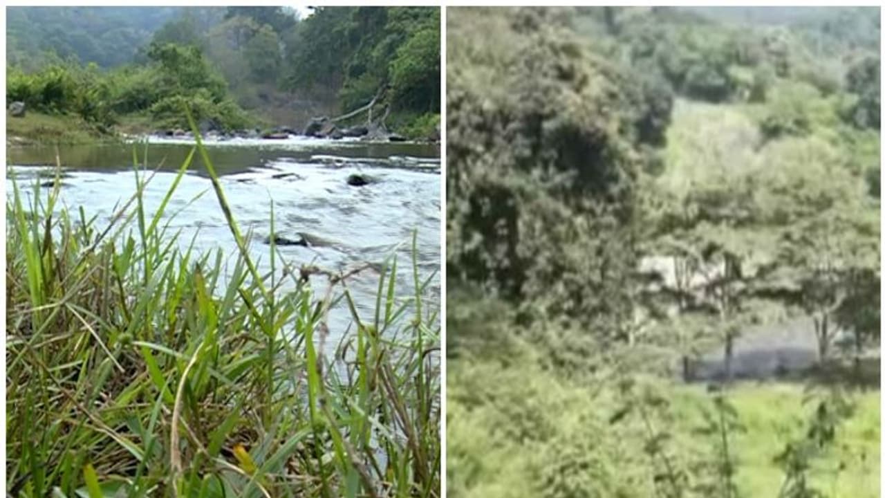 അട്ടപ്പാടിയിലെ ജലക്ഷാമത്തിന് പരിഹാരമാകുന്നു; വാലി ഇറിഗേഷൻ പദ്ധതിക്ക് പുതുജീവന് അട്ടപ്പാടിയിലെ ജലക്ഷാമത്തിന് പരിഹാരമാകുന്നു; വാലി ഇറിഗേഷൻ പദ്ധതിക്ക് പുതുജീവന്