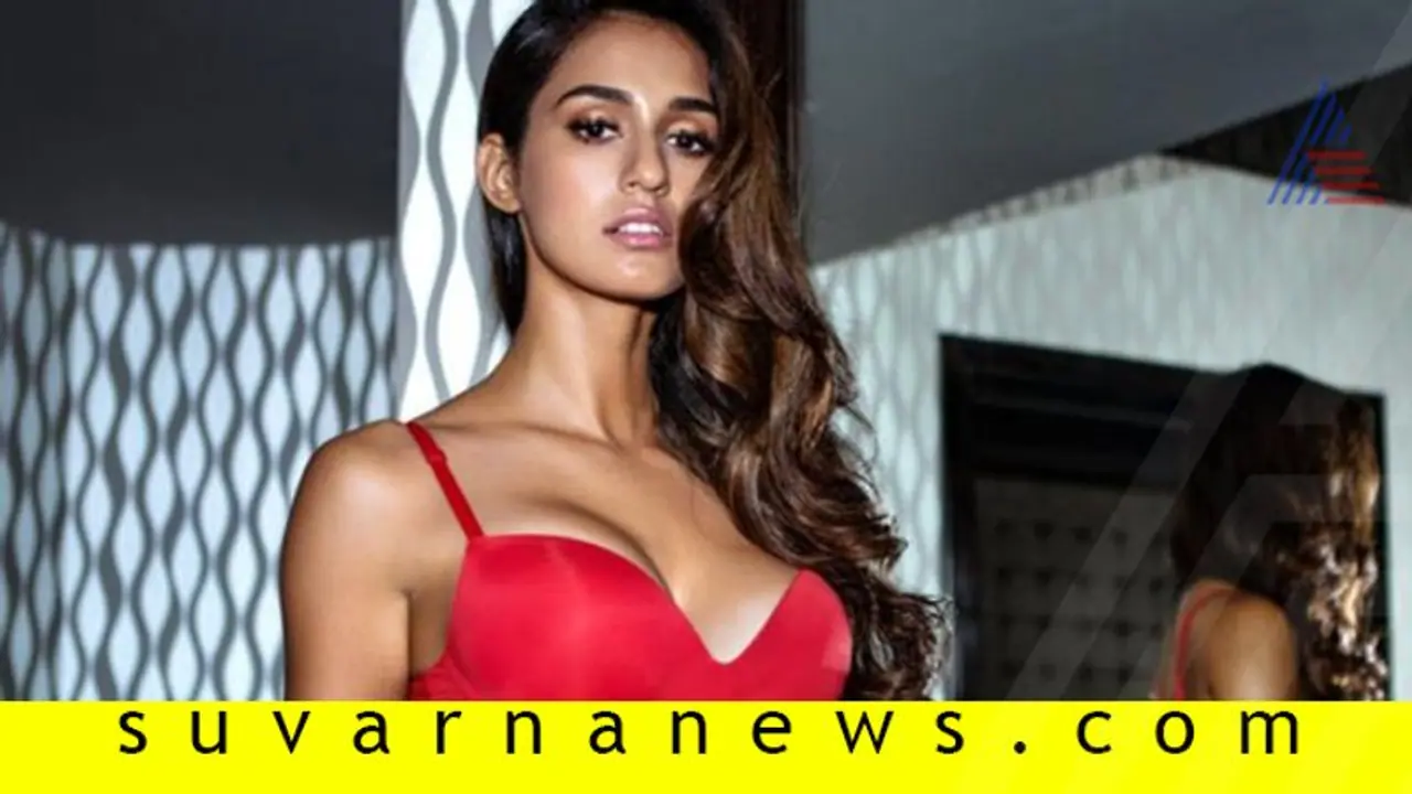 ನಾನು ಹಾಟ್ ಅಲ್ಲ, ಧೈರ್ಯವಂತೆ: ದಿಶಾ ಪಟಾನಿ ನಾನು ಹಾಟ್ ಅಲ್ಲ, ಧೈರ್ಯವಂತೆ: ದಿಶಾ ಪಟಾನಿ