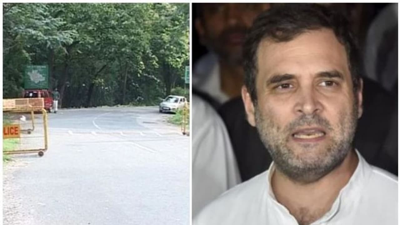 രാത്രിയാത്രാ നിരോധനം; സമരം ഒന്പതാം ദിവസത്തിലേക്ക്, നാളെ രാഹുല് ഗാന്ധി എത്തും രാത്രിയാത്രാ നിരോധനം; സമരം ഒന്പതാം ദിവസത്തിലേക്ക്, നാളെ രാഹുല് ഗാന്ധി എത്തും