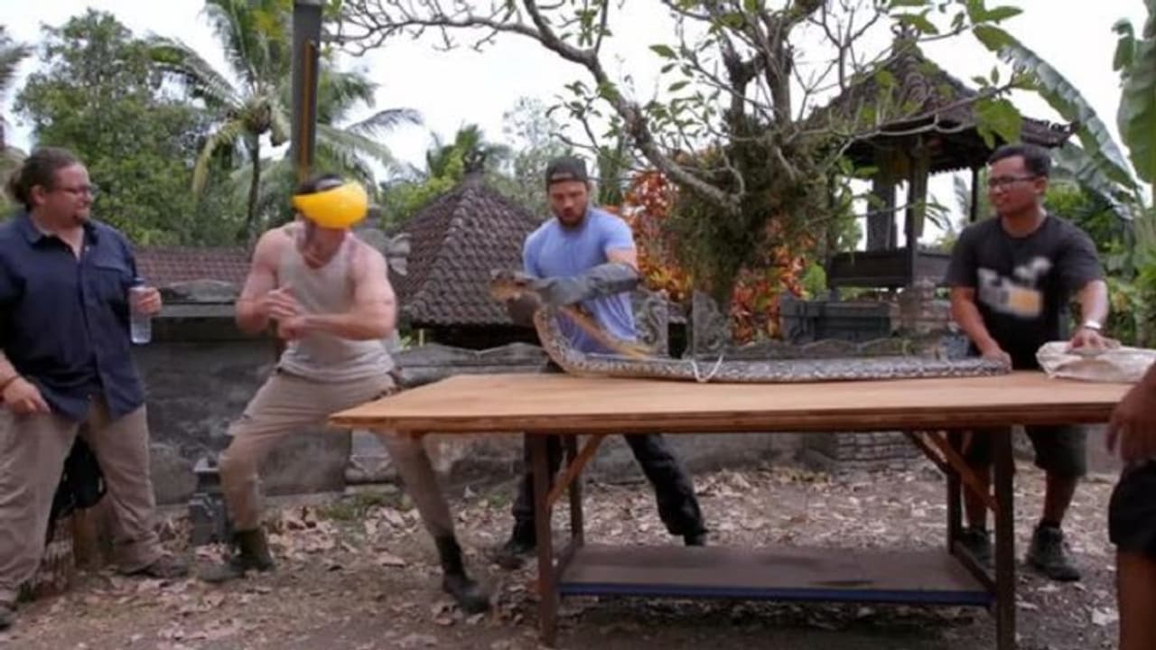 6 फुट के अजगर के सामने कूदा शख्स, फिर... 6 फुट के अजगर के सामने कूदा शख्स, फिर...