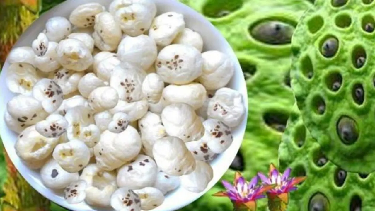 हार्ट डिजीज से लेकर डायबिटीज तक में फायदेमंद है मखाना, जानें इसके और लाभ हार्ट डिजीज से लेकर डायबिटीज तक में फायदेमंद है मखाना, जानें इसके और लाभ