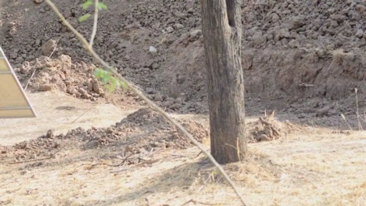 কোথায় লুকিয়ে চিতা, আতশকাচ হাতে খুঁজে চলেছে সোশ্যাল মিডিয়া, দেখুন তো খুঁজে পান কিনা কোথায় লুকিয়ে চিতা, আতশকাচ হাতে খুঁজে চলেছে সোশ্যাল মিডিয়া, দেখুন তো খুঁজে পান কিনা