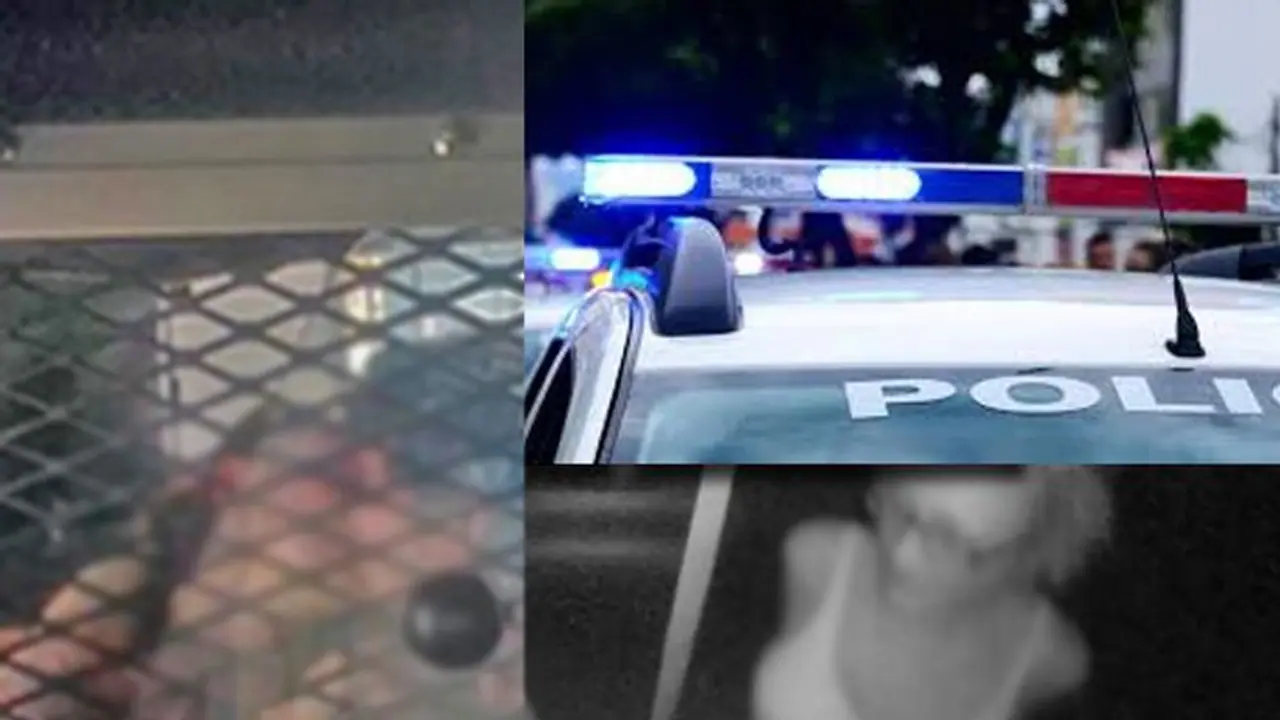 ഗതാഗത നിയമലംഘനത്തിന് കസ്റ്റഡിയിലെടുത്ത ദമ്പതികള് പൊലീസ് വണ്ടിയുടെ പിന്സീറ്റില് ലൈംഗിക ബന്ധത്തിലേര്പ്പെട്ടു ഗതാഗത നിയമലംഘനത്തിന് കസ്റ്റഡിയിലെടുത്ത ദമ്പതികള് പൊലീസ് വണ്ടിയുടെ പിന്സീറ്റില് ലൈംഗിക ബന്ധത്തിലേര്പ്പെട്ടു