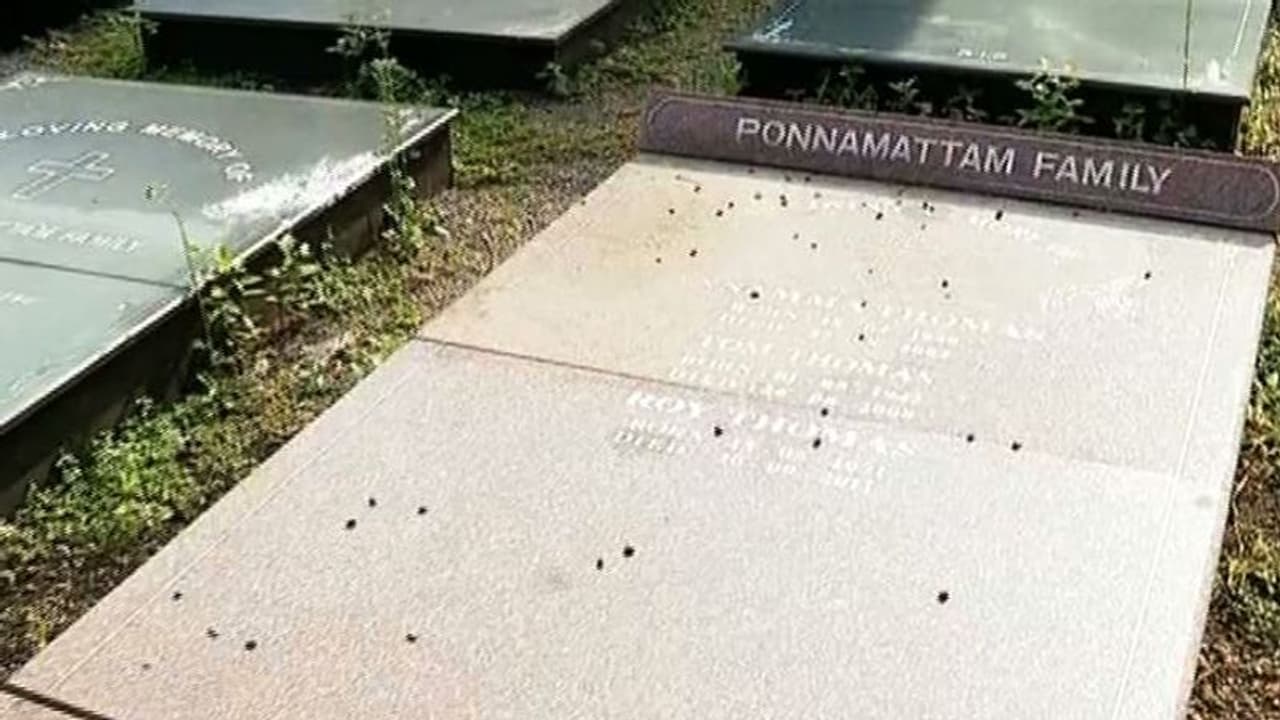 കൂടത്തായിയിലെ മരണ പരമ്പര: കല്ലറ തുറന്ന്, മൃതദേഹങ്ങൾ പുറത്തെടുത്തുള്ള ഫോറൻസിക് പരിശോധന തുടങ്ങി കൂടത്തായിയിലെ മരണ പരമ്പര: കല്ലറ തുറന്ന്, മൃതദേഹങ്ങൾ പുറത്തെടുത്തുള്ള ഫോറൻസിക് പരിശോധന തുടങ്ങി