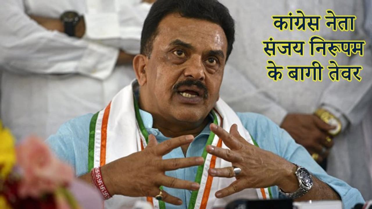 संजय निरुपम का दावा, महाराष्ट्र विधानसभा चुनाव में कांग्रेस की जमानत जब्त हो जाएगी संजय निरुपम का दावा, महाराष्ट्र विधानसभा चुनाव में कांग्रेस की जमानत जब्त हो जाएगी