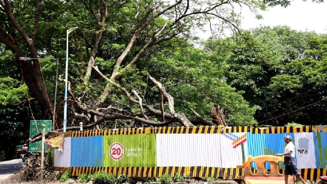 ಮೆಟ್ರೋಗಾಗಿ 2600 ಮರ ಕಡಿಯಲು ಕೋರ್ಟ್ ಸಮ್ಮತಿ! ಮೆಟ್ರೋಗಾಗಿ 2600 ಮರ ಕಡಿಯಲು ಕೋರ್ಟ್ ಸಮ್ಮತಿ!