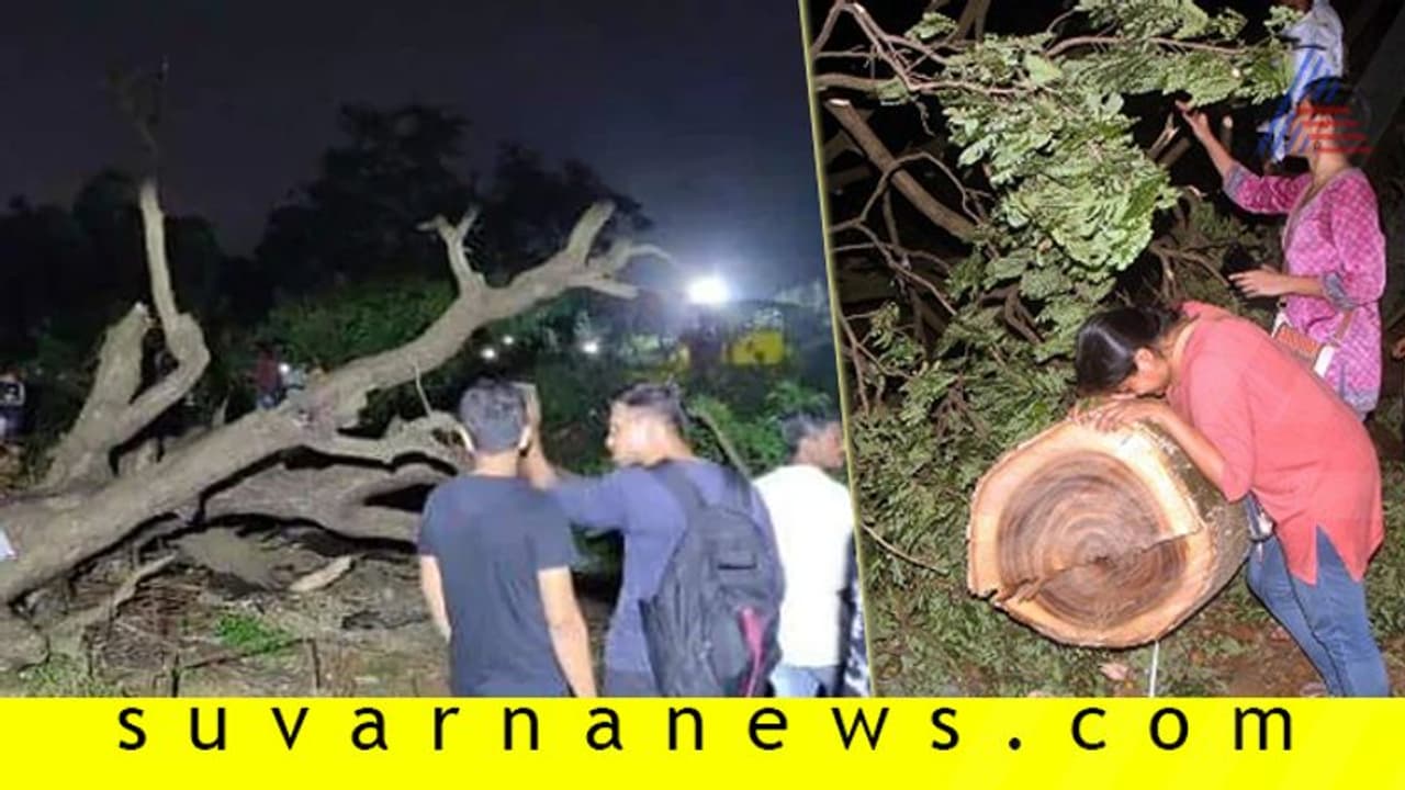 ಮೆಟ್ರೋ ಡಿಪೋಗೆ 2656 ಮರಗಳ ಹನನ!