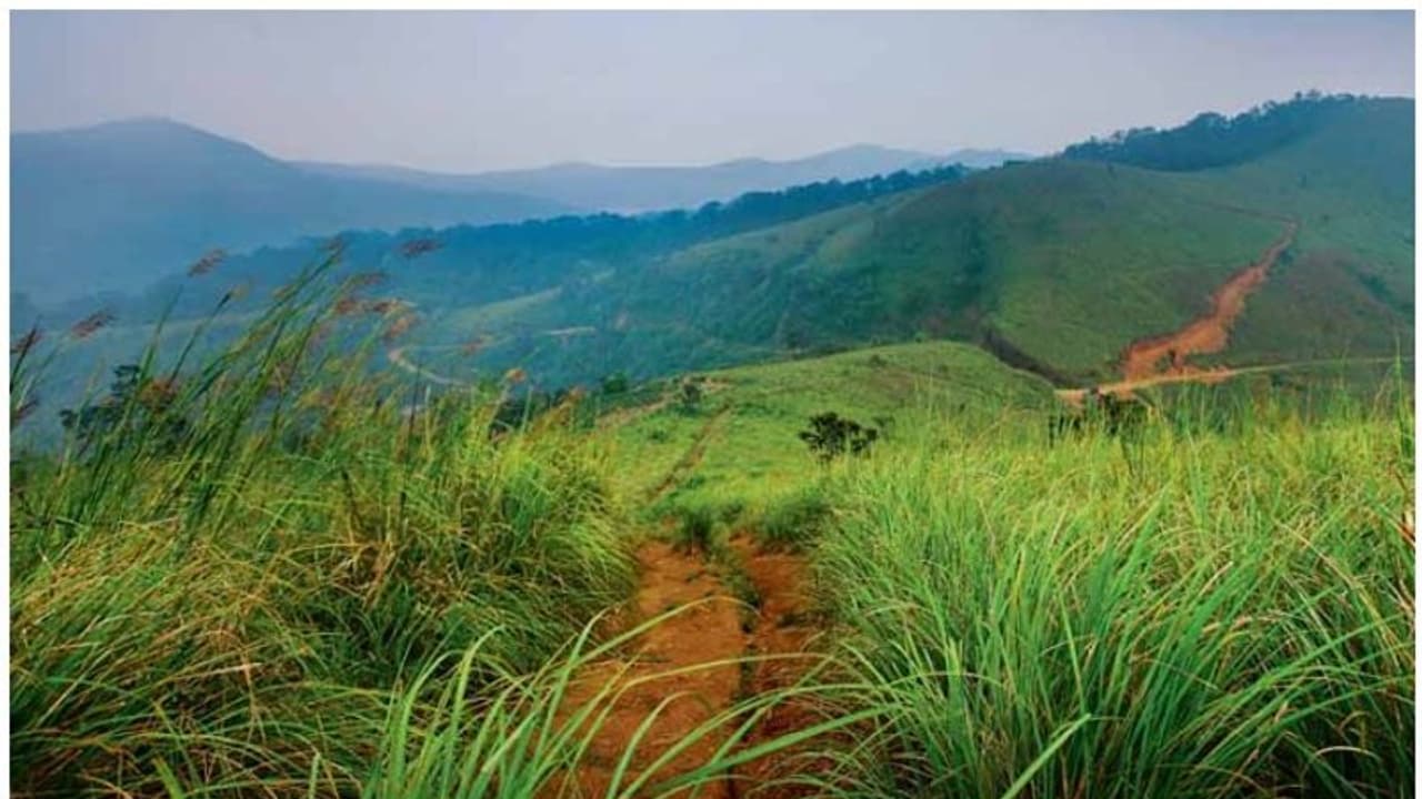 വ്യാജരേഖ ഉണ്ടാക്കി സർക്കാർ ഭൂമി കൈയ്യേറി; 11 പേർക്കെതിരെ കേസെടുത്തു