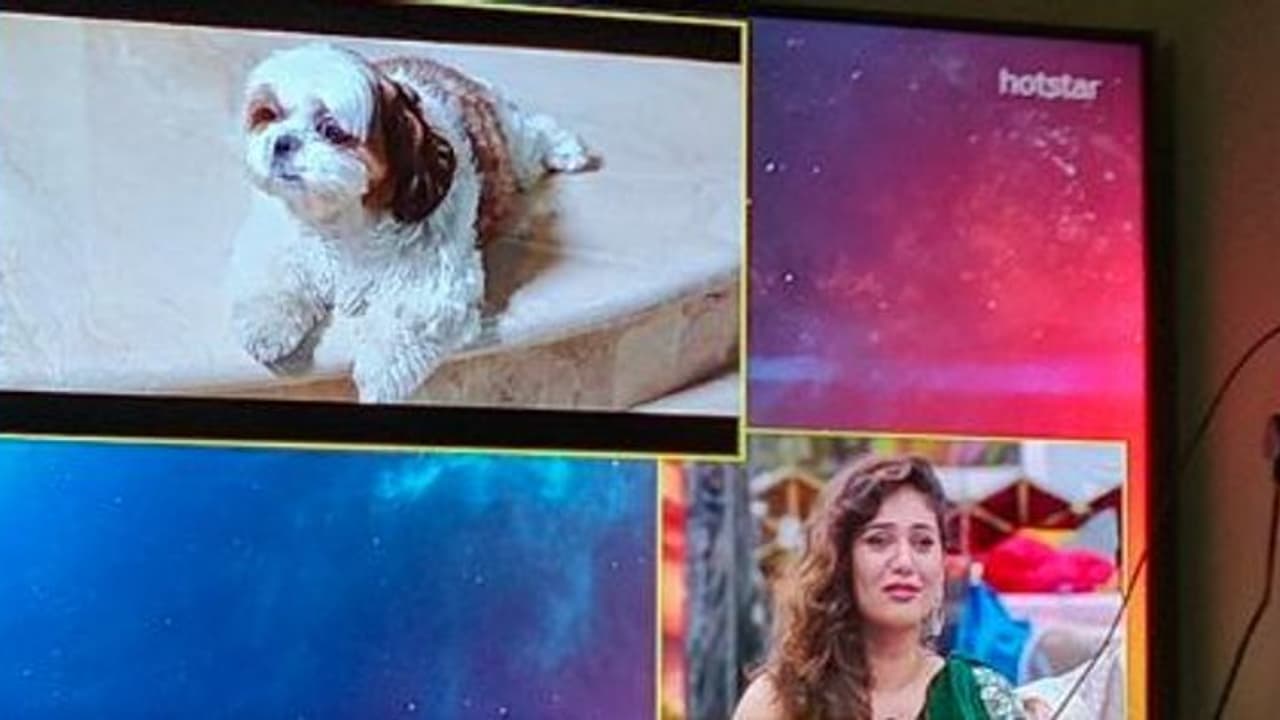 நாய் குட்டிக்காக கடைசி நாளில் கண்ணீர் விட்ட ஷெரின்! நாய் குட்டிக்காக கடைசி நாளில் கண்ணீர் விட்ட ஷெரின்!