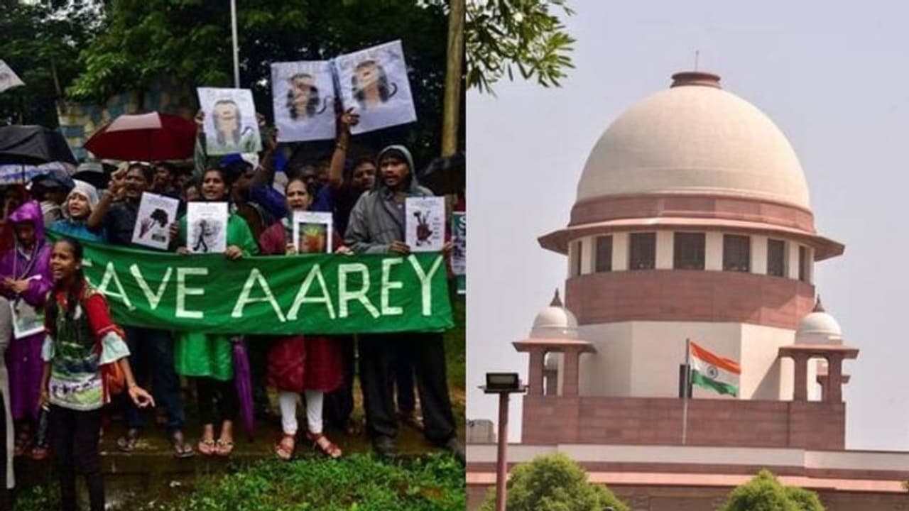 Special Supreme Court bench to hear Aarey Forest axing case on October 7