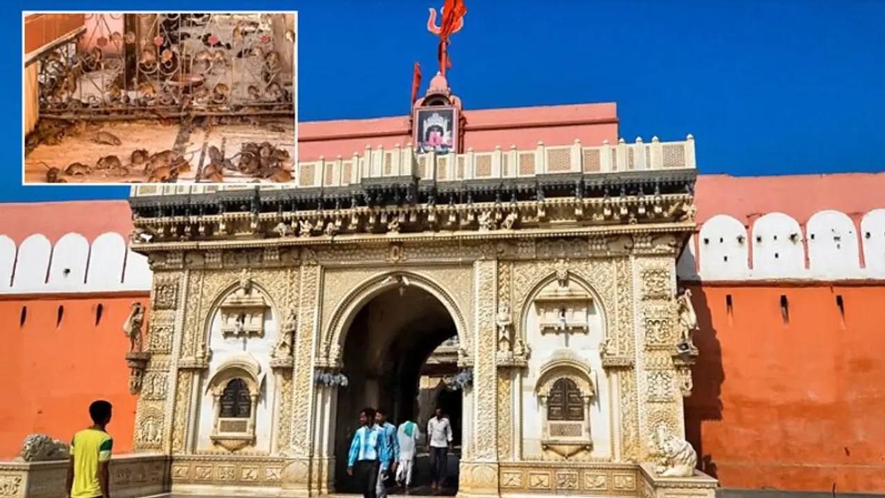 अपनी विशेषता के चलते देश ही नहीं विदेश में भी प्रसिद्ध है ये देवी स्थान, इसे कहते हैं चूहे वाली माता का मंदिर अपनी विशेषता के चलते देश ही नहीं विदेश में भी प्रसिद्ध है ये देवी स्थान, इसे कहते हैं चूहे वाली माता का मंदिर