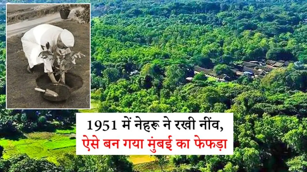 आरे: आजादी के बाद नेहरू ने रखी थी नींव, 3166 एकड़ क्षेत्र में फैला है; जानें इससे जुड़ीं 5 खास बातें आरे: आजादी के बाद नेहरू ने रखी थी नींव, 3166 एकड़ क्षेत्र में फैला है; जानें इससे जुड़ीं 5 खास बातें