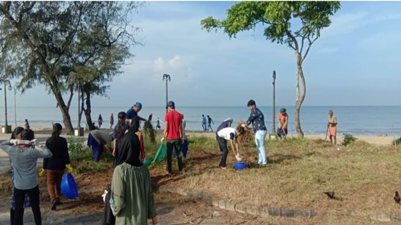 അവർ സേവന സന്നദ്ധരായി; ഭട്ട് റോഡ് ബീച്ചും പാർക്കും വൃത്തിയാകാന് പിന്നെ അധികം സമയം വേണ്ടിവന്നില്ല അവർ സേവന സന്നദ്ധരായി; ഭട്ട് റോഡ് ബീച്ചും പാർക്കും വൃത്തിയാകാന് പിന്നെ അധികം സമയം വേണ്ടിവന്നില്ല