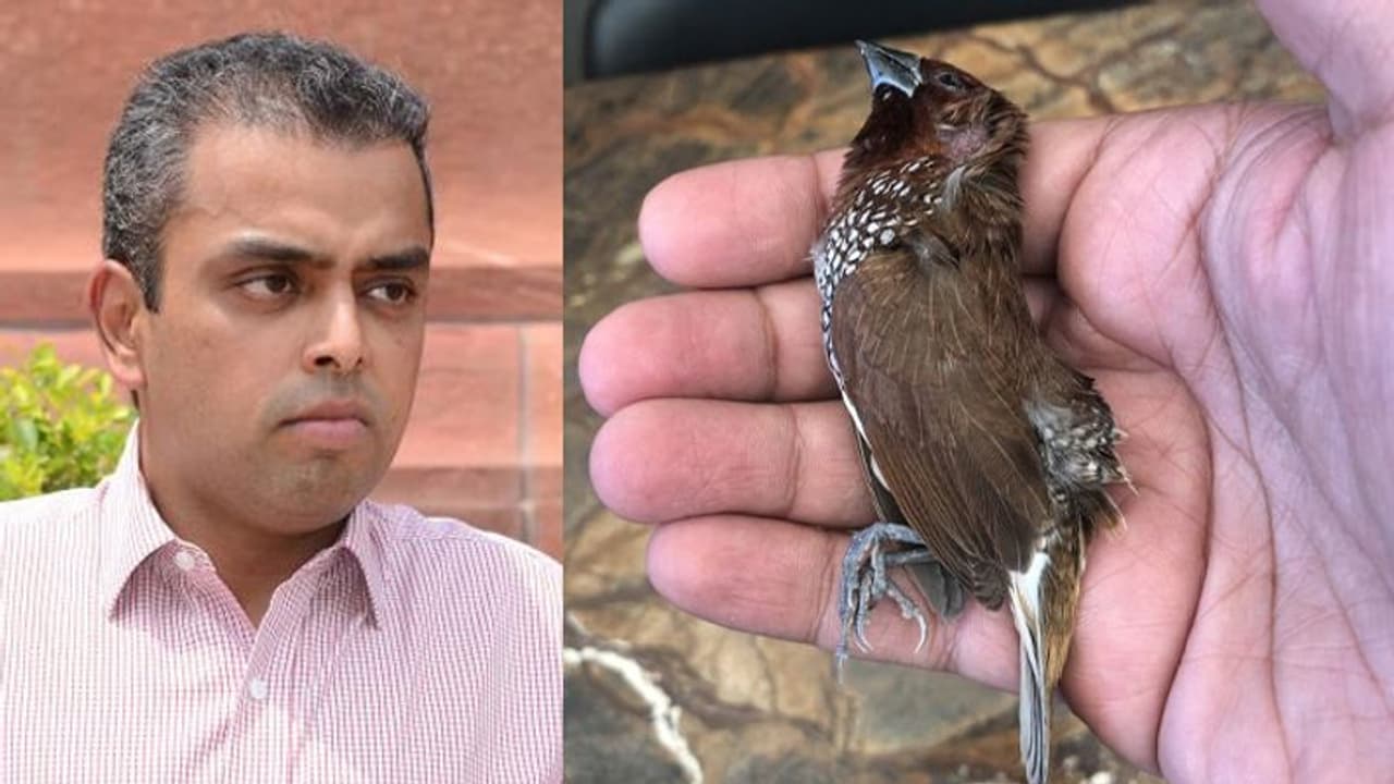 कांग्रेस नेता ने यह फोटो ट्वीट कर जताया दुख, यूजर्स ने लिखा, पेड़ कटने का लाइव उदाहरण कांग्रेस नेता ने यह फोटो ट्वीट कर जताया दुख, यूजर्स ने लिखा, पेड़ कटने का लाइव उदाहरण