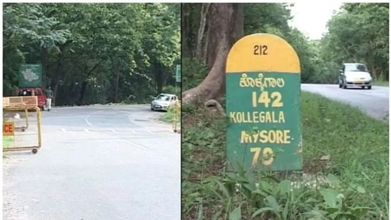 യാത്ര നിരോധനം; ബന്ദിപ്പൂർ പാത പകൽ അടയ്ക്കുന്നതിനെതിരെ പരിസ്ഥിതി പ്രവർത്തകർ രം​ഗത്ത്