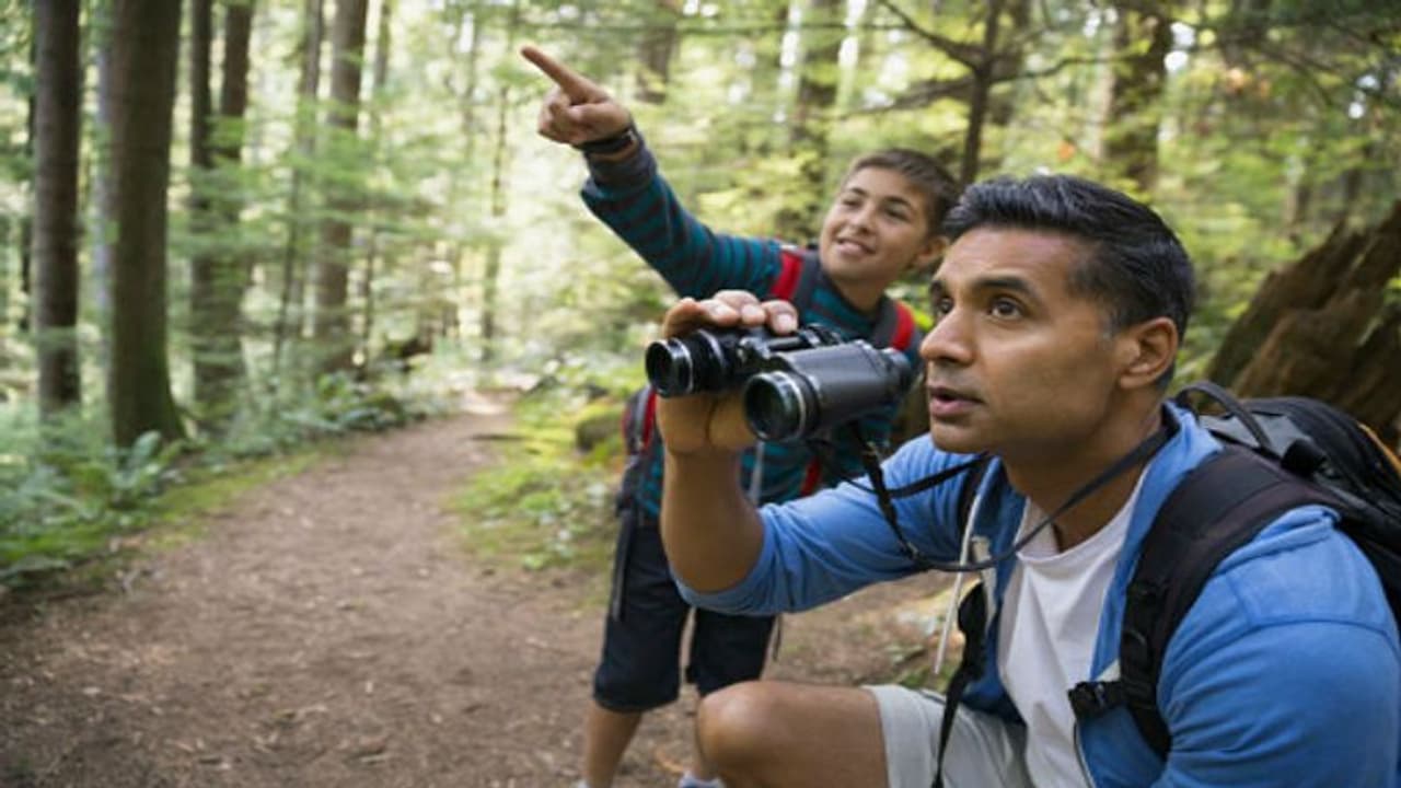 বাইরে ঘুরতে যাওয়া কীভাবে আরও স্বাস্থ্যকর করে তুলবেন, জেনে নিন