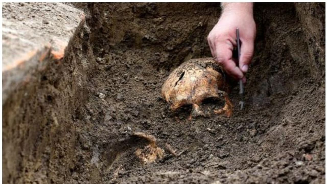 ഉയിഗുർ മുസ്ലിങ്ങളുടെ ഖബറുകൾ തോണ്ടി തലയോട്ടികൾ പുറത്തിട്ട് ചൈന, പരക്കെ പ്രതിഷേധം ഉയിഗുർ മുസ്ലിങ്ങളുടെ ഖബറുകൾ തോണ്ടി തലയോട്ടികൾ പുറത്തിട്ട് ചൈന, പരക്കെ പ്രതിഷേധം