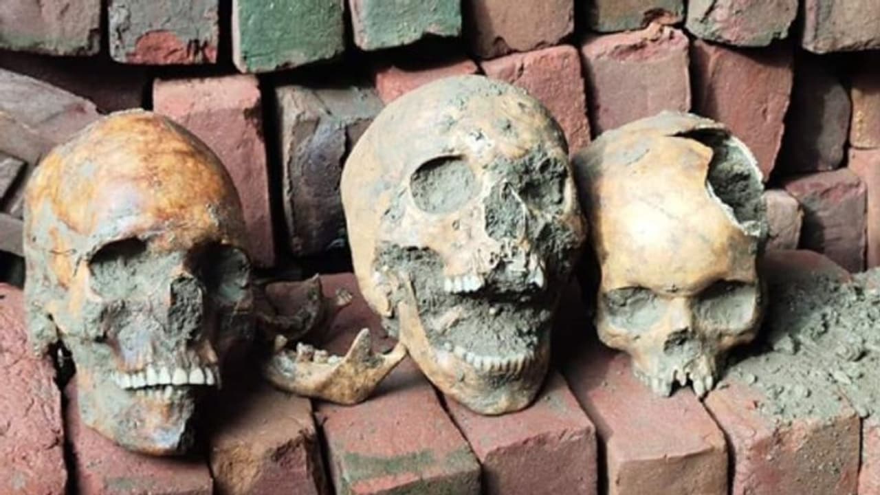 ভিত খুঁড়তে গিয়ে ভীতি, নাকাশিপাড়ায় কঙ্কাল উদ্ধার ভিত খুঁড়তে গিয়ে ভীতি, নাকাশিপাড়ায় কঙ্কাল উদ্ধার