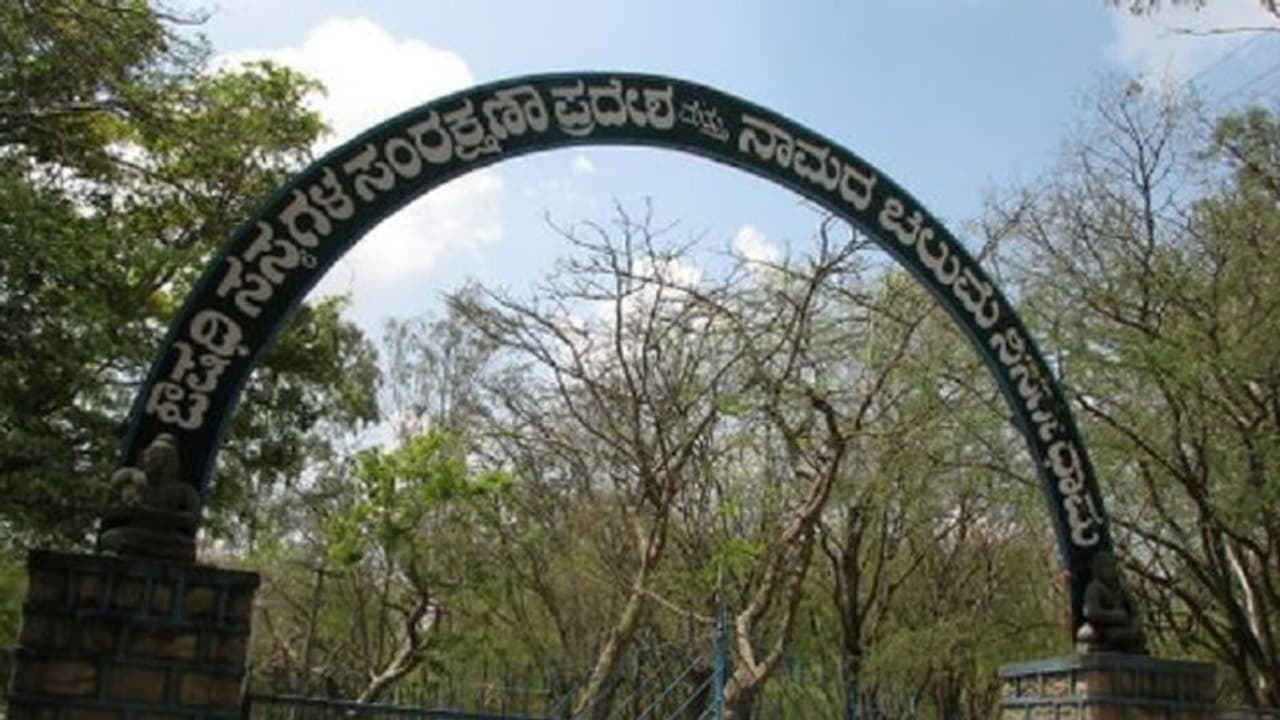 ಪಕ್ಷಿ ತಜ್ಞ ಸಲೀಂ ಅಲಿ ಉಳಿದುಕೊಂಡಿದ್ದ ನಾಮದ ಚಿಲುಮೆಗೆ ಬೇಕಿದೆ ಕಾಯಕಲ್ಪ!