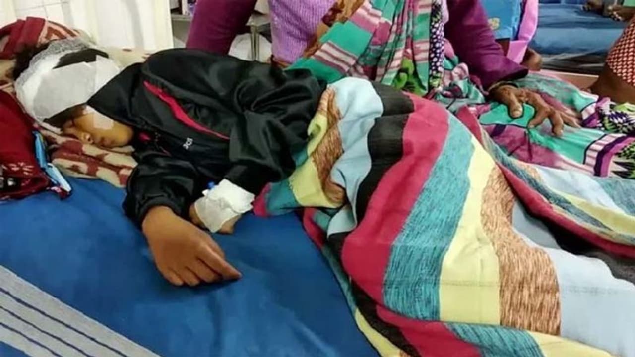 भाई की जान बचाने जंगली बिल्ली से लड़ गई 11 साल की बहन भाई की जान बचाने जंगली बिल्ली से लड़ गई 11 साल की बहन