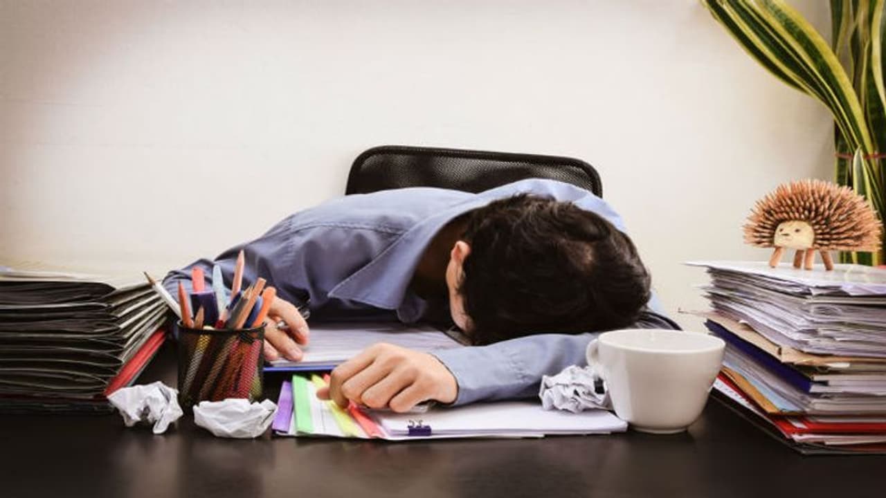 இந்த 3 பொருட்களை சாப்பிட்டு பாருங்க..! உங்கள யாரும் அசைக்க முடியாது..! இந்த 3 பொருட்களை சாப்பிட்டு பாருங்க..! உங்கள யாரும் அசைக்க முடியாது..!