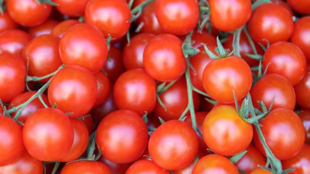 പുരുഷന്മാർ നിർബന്ധമായും ദിവസവും രണ്ടോ മൂന്നോ തക്കാളി കഴിക്കൂ; ഒരു ഗുണമുണ്ട്